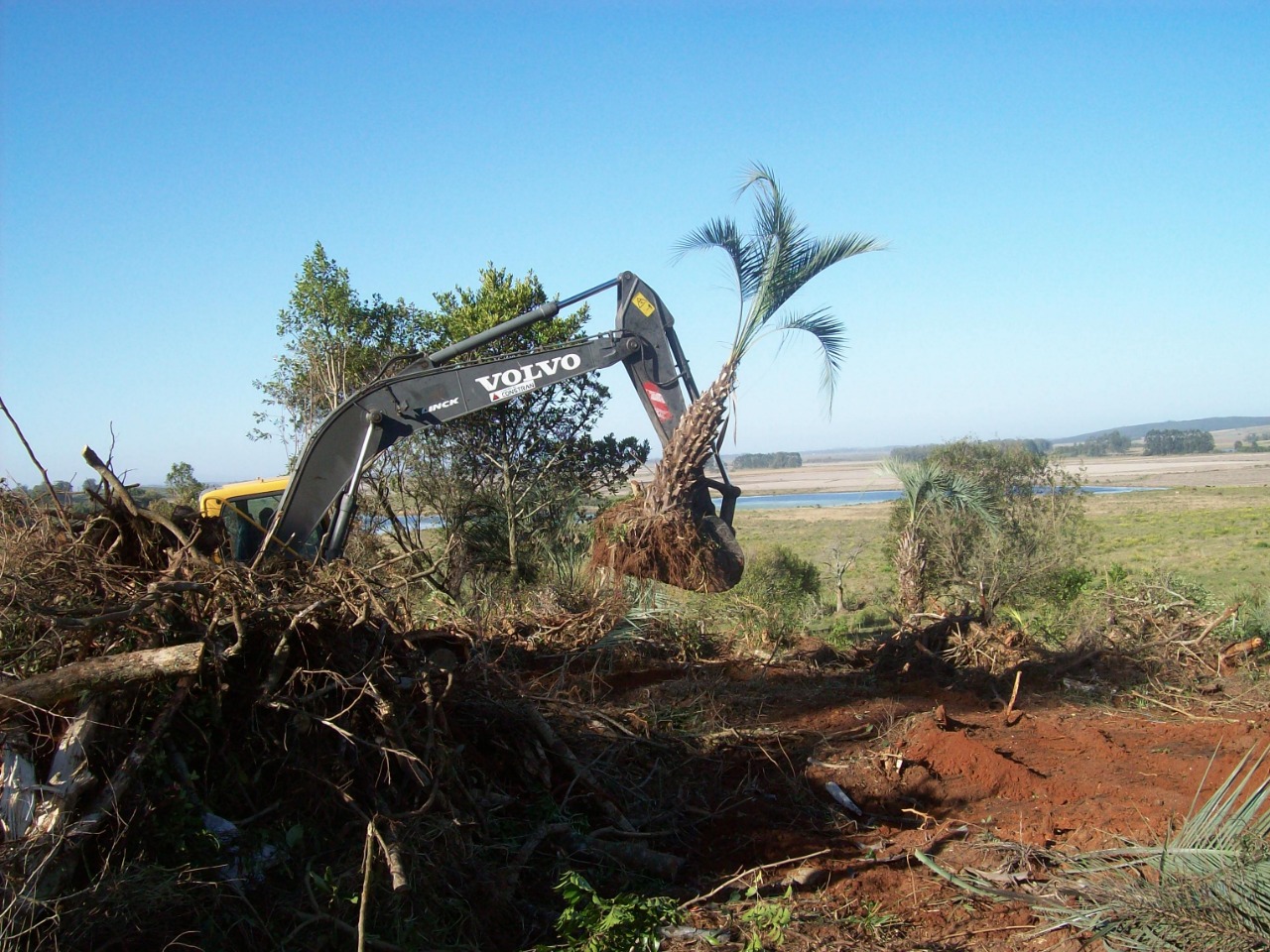 consultoria ambiental