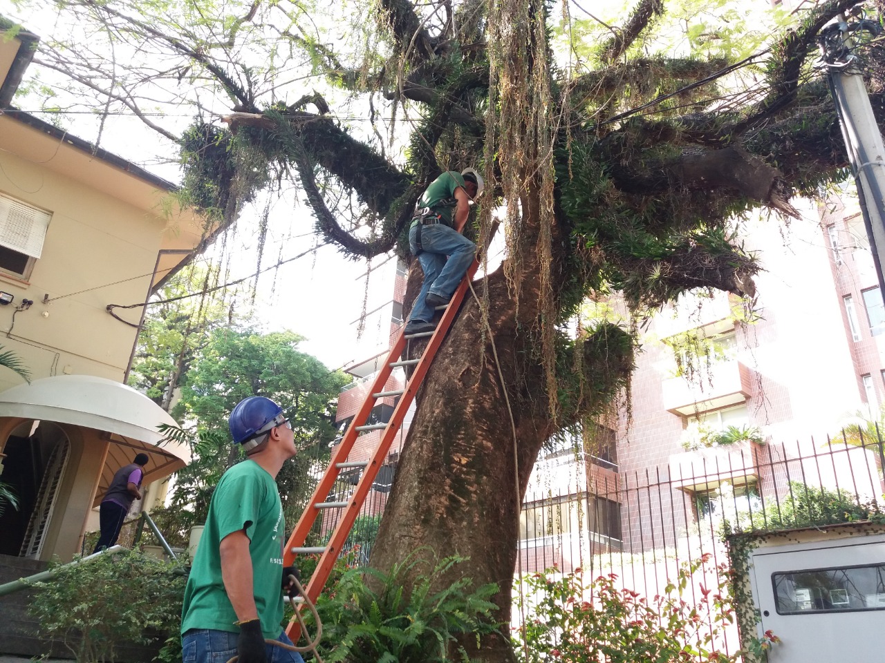 consultoria ambiental