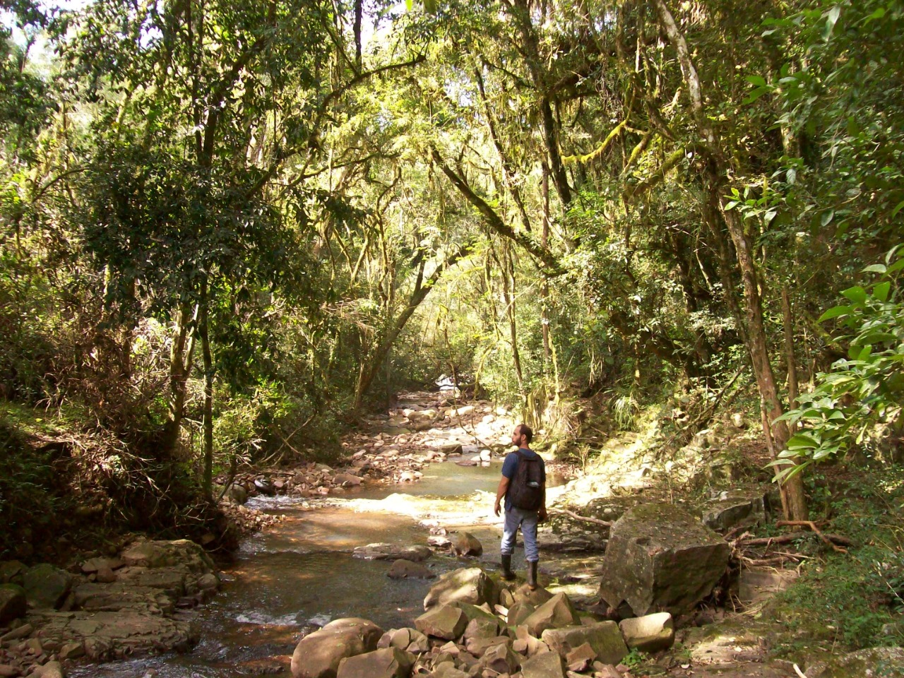 consultoria ambiental